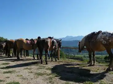 Photo de Ferme Équestre Le Chalet Des Vignobles