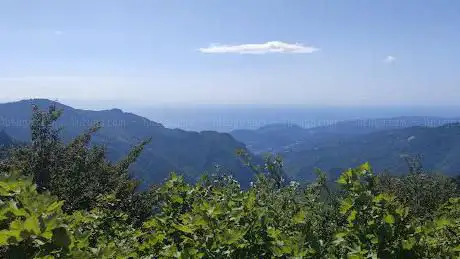 Photo de Foresta Barbottina