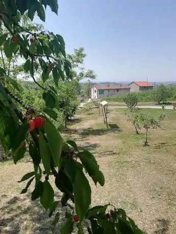 Photo de Cascina misericordia