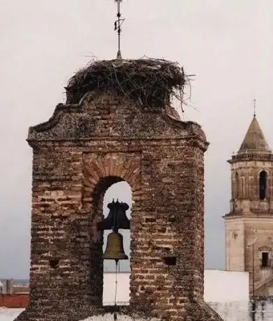 Photo de Iglesia del Dulce Nombre de Jesús Y Santa Misericordia
