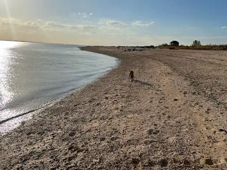 Photo de Bradwell Power Plant Shell Beach