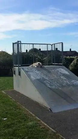 Photo de Blue skatepark