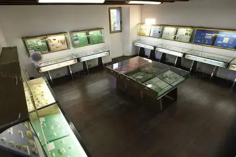 Photo de Museo Delle Conchiglie