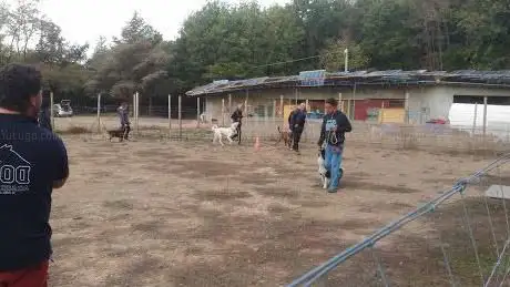 Photo de Dog Academy Asd