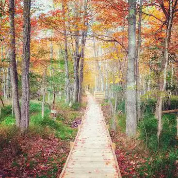 Photo de Wild Gardens of Acadia