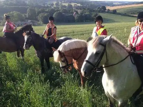 Photo de Bursted Hill Stables