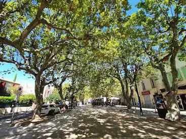 Chemin des Roys