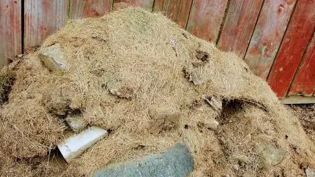 Bug House
