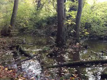 Photo de Feuchtgebiet Im Hinteren Tal
