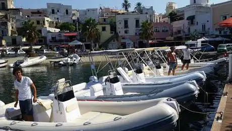 Photo de Noleggio Barche Blu Life Ischia Forio