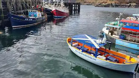 Photo de Glass Bottomed Boat