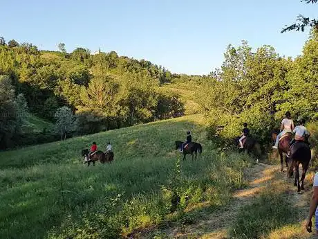 Centro Equestre Collazzone