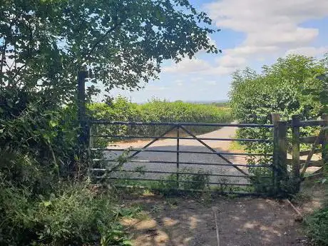 Thurlbear Wood and Quarrylands