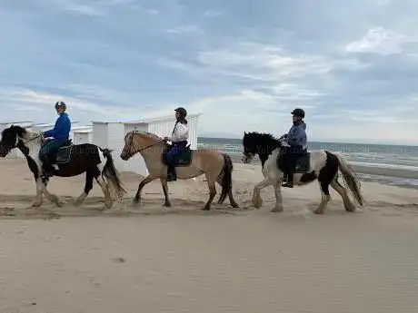 Equibeach