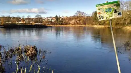 Photo de Bingham's Pond