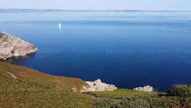 Menhir Kergavan 2