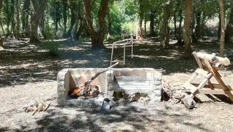Area Picnic & bbq Bosco degli Aceri