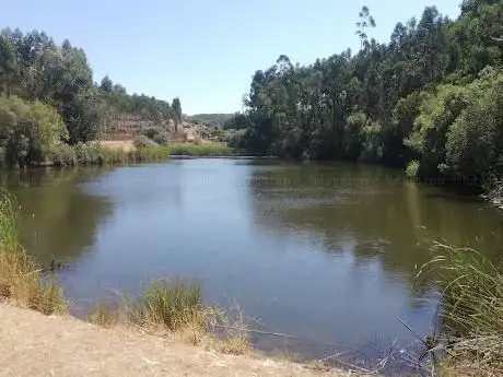 Forest Lake