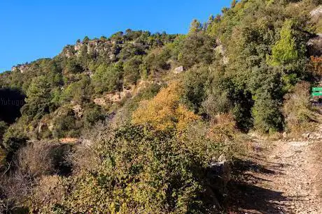 Photo de Puig de Gallicant