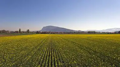 Réserve naturelle Les Faverges