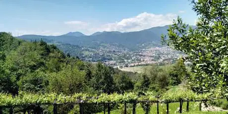 Fonte dei Vasi