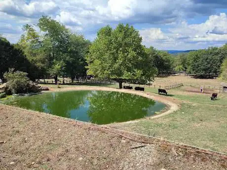 Photo de The Thoth Park