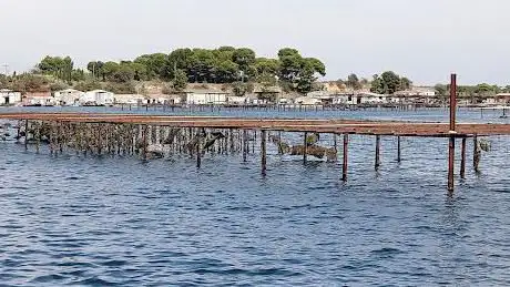 Photo de catamaran de promenade MANSATHAU