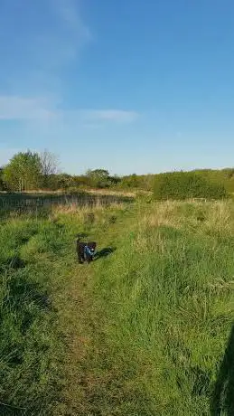 Photo de Hardwick Dene Nature Reserve