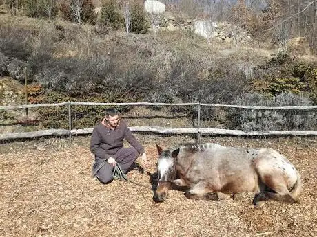 Photo de Horsepassion Academy