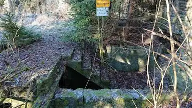 Ruine Eschbachmühle (Staatsforst-Etscheid-Mayen)