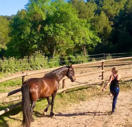 Photo de Rancho Riu de Gaia