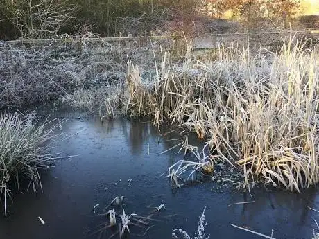 Photo de Pond and Rotary Centennial Wildlife Area