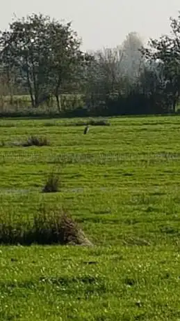 Wandelknooppunt 20