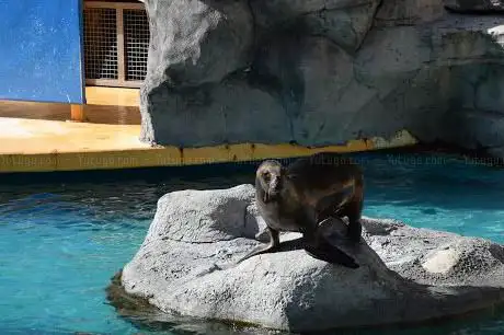 Photo de Zoo Aquarium de Madrid