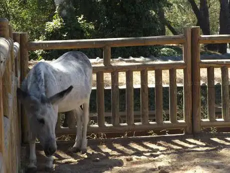 Photo de Animales de la Granja