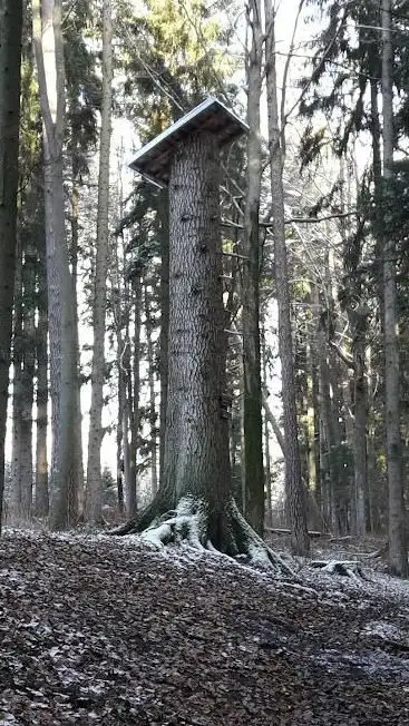 Photo de Burg Trossingen