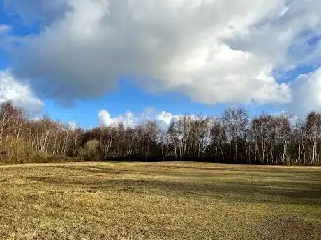 Photo de Vogelkijkscherm