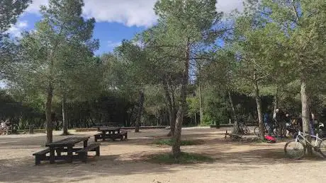 Photo de Bois de Montmaur