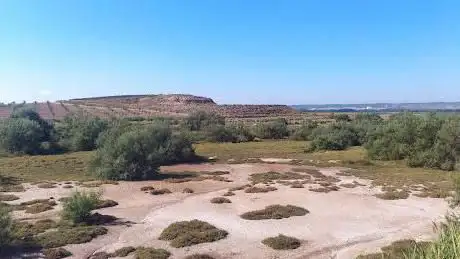 Photo de Carrizal de Cofin
