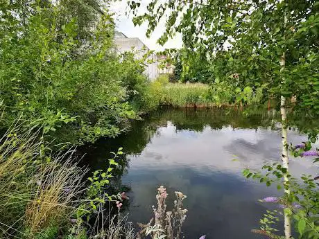 Photo de Marais Wiels