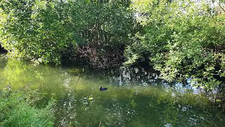 Photo de The New RIVER