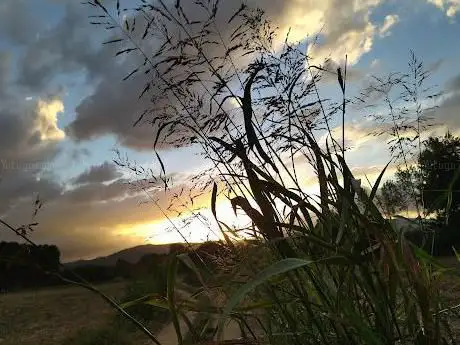 Estanys de Tordera