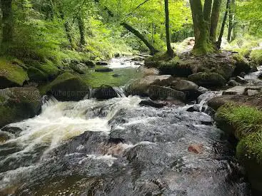 Golitha Falls