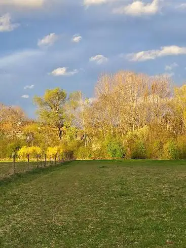 Landschaftspark Wiese