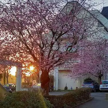 Photo de Cesson Parc