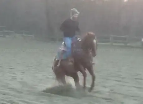 Photo de Cavalieri del Raggio Verde