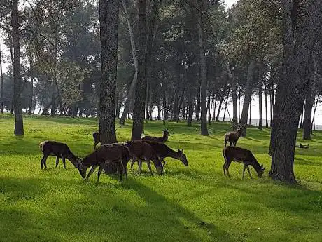 Photo de Finca Villadiego