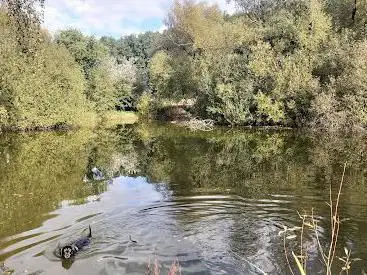 Photo de Schalkscher Teich