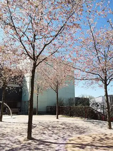 Photo de Square Emmanuel Chabrier