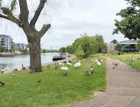 Photo de Bishop's Park